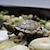 cheap Patio-Mini Turtles Miniature Figurines Simulation Small Tortoise Ornament Realistic Sea Turtles Resin Cute Beach Sea Turtles For Bonsai Craft Fairy Garden Succulent Planter Decoration