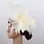 voordelige Hoeden &amp; Hoofdstukken-fascinators hoed Helm Sinamay Formeel Kentucky Derby Paardenrace Damesdag Kerk (83 Elegant Dame Brits Met Veer Tule Helm Hoofddeksels
