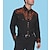 billiga västernskjortor för män-Herr Skjorta Västerländsk skjorta Grafiska tryck Guitarr Nedvikt Svart Svart / Grön Ljusgrön Svart / Purpur Svart / Röd 3D-tryck Utomhus Gata Långärmad Mönster Button-Down Kläder Mode Designer Ledigt