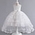cheap Party Dresses-Kids Girls&#039; Party Dress Solid Color Sleeveless Formal Performance Wedding Mesh Elegant Princess Beautiful Polyester Maxi Party Dress Flower Girl&#039;s Dress Spring Fall Winter 3-12 Years White Champagne