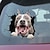 voordelige Autostickers-auto sticker auto achterruit puppy kapotte raamstickers elektrostatische 3d simulatie franse bulldog auto stickers vinyl decals