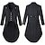 cheap Historical &amp; Vintage Costumes-Retro Vintage Medieval 18th Century Coat Tuxedo Tailcoat Vampire Knight Ritter Men&#039;s Party / Evening Coat