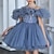 cheap Party Dresses-Kids Girls&#039; Party Dress Solid Color Sleeveless Performance Wedding Mesh Princess Sweet Mesh Mid-Calf Sheath Dress Tulle Dress Flower Girl&#039;s Dress Summer Spring Fall 2-12 Years Dusty Blue