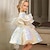 cheap Dresses-Toddler Girls&#039; Party Dress Sequin Long Sleeve Performance Mesh Cute Princess Polyester Above Knee Sheath Dress Tulle Dress Summer Spring Fall 3-7 Years White Wine Sky Blue