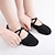 cheap Women&#039;s Dance Shoes-SUN LISA Women&#039;s Ballet Shoes Ballroom Shoes Training Performance Practice Heel Thick Heel Leather Sole Lace-up Elastic Band Adults&#039;