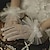 ieftine Costume Vintage &amp; Istorice-Elegant 1950 Anii 1920 Mănuși de Mireasă Gatsby Pentru femei Nuntă Petrecere / Seara Bal Mănuși