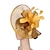 Χαμηλού Κόστους Fascinators-Γοητευτικά Καπέλα Τεμάχια Κεφαλής Σινάμα Επίσημο Κεντάκι Ντέρμπι Ιπποδρομία Ημέρα της Γυναίκας Εκκλησία Glam Βίντατζ Κομψό Με Φτερό Ακουστικό Καπέλα