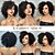 cheap Synthetic Lace Wigs-Synthetic Lace Wig Curly Style 16 inch Brown Middle Part 13x1 Lace Front Wig Women&#039;s Wig Black