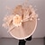 זול כובעים וקישוטי שיער-מפגשים סינאמי חתונה קנטקי דרבי קוקטייל רטרו ירח דבש עם נוצות פרחוני כיסוי ראש כיסוי ראש