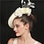 זול כובעים וקישוטי שיער-מפגשים סינאמי חתונה קנטקי דרבי קוקטייל רויאל אסטקוט אופנתי ירח דבש עם נוצות פרחוני כיסוי ראש כיסוי ראש