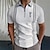 preiswerte 3D-Reißverschluss-Polo-Herren Poloshirt Golfhemd Farbblock Umlegekragen Schwarz Weiß Hellgrün Blau Purpur Outdoor Strasse Kurzarm Zip Bekleidung Modisch Brautkleider schlicht Atmungsaktiv Komfortabel