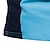 Недорогие классическое поло-Муж. Футболка-поло Рубашка для гольфа Повседневные Спорт Классика С короткими рукавами Мода Классический Контрастных цветов кнопка Лето Стандартный Небесно-голубой Белый Темно-синий Серый