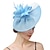 preiswerte Faszinator-Fascinatoren Hüte Kopfbedeckung Sinamay Formal Kentucky Derby Pferderennen Damentag Kirche Elegant Dame Britisch Mit Feder Tüll Kopfschmuck Kopfbedeckung