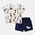 cheap Sets-2 Pieces Toddler Boys T-shirt &amp; Shorts Outfit Animal Cartoon Short Sleeve Cotton Set Outdoor Adorable Daily Summer Spring 3-7 Years 3 green teddy bears 9 spectacled bear 17 crocodile