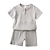 cheap Sets-Linen Toddler Baby Boy Girl Clothes Matching Outfits Solid Linen Short Sleeve T-Shirt Tops Shorts Pants Unisex 2Pcs Summer Outfits Set Home Daily Summer Spring 3-7 Years White Blue Brown