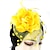 levne Fascinátory-Fascinátory / Klobouky / Doplňky do vlasů s Květiny 1ks Zvláštní příležitosti / Dámský den / Melbourne Cup Přílba