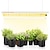 cheap Plant Growing Lights-LED Grow Lights for Indoor Plants Full Spectrum Plant Grow Lights for Greenhouse Hydroponic 20/40/60/192/240/360LED Beads 100-265V Vegetable Greenhouse