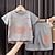 cheap Sets-2 Pieces Kids Boys T-shirt &amp; Shorts Outfit Letter Short Sleeve Crewneck Cotton Set Casual Cool Daily Summer Spring 7-13 Years Black White Yellow