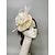 billige Fascinators-fascinators kentucky derby hat hovedbeklædning hovedbeklædning fjer net slør hat efterår bryllup dame dag cocktail kongelig astcot med kasket blomstret hovedbeklædning hovedbeklædning