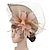 preiswerte Faszinator-Fascinatoren Hüte Kopfbedeckung Sinamay Formal Kentucky Derby Pferderennen Damentag Kirche Elegant Dame Britisch Mit Feder Tüll Kopfschmuck Kopfbedeckung