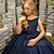 cheap Party Dresses-Kids Girls&#039; Party Dress Solid Color Sleeveless Performance Wedding Mesh Princess Sweet Lace Mid-Calf Sheath Dress Tulle Dress Flower Girl&#039;s Dress Summer Spring Fall 2-12 Years Blue