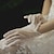 preiswerte Historische &amp; Vintage-Kostüme-Elegant 1950s 1920s Handschuhe Brautkleidung Der große Gatsby Damen Hochzeit Party / Abend Abiball Handschuhe