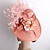 abordables Chapeaux et coiffes-Fascinateurs Sinamay Mariage Derby kentucky cocktail Rétro Mariée Avec Plume Fleur Casque Couvre-chef