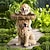 economico sculture e statue da giardino-bagni per uccelli per esterni, bagno per uccelli a forma di animale in poliresina con piedistallo marrone, mangiatoia per uccelli selvatici fatta a mano e ciotola per il bagno degli uccelli, statua da giardino e statuetta per esterni, giardino, decorazion