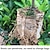 preiswerte Gartenarbeit-100 Stück Baumschulbeutel, Pflanzbeutel aus Vliesstoff für eine hohe Überlebensrate der Sämlinge, Pflanzbeutel zum Pflanzen, Gartensamen-Starterbeutel