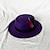 voordelige Feesthoeden-hoed Wol / Acryl Fedorahoed Formeel Bruiloft cocktail Koninklijke Ascot Eenvoudig Retro Met Veer Pure Kleur Helm Hoofddeksels