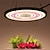 abordables Lampe de croissance LED-Led élèvent la lumière soleil lumière de croissance à spectre complet lampe phyto d&#039;intérieur pour plantes fleurs poussent boîte prise ue/au ac220-265v