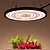 Недорогие Освещение для роста растений-светодиодный светильник для выращивания, солнечный свет, полный спектр, комнатный фитолампа для растений, цветов, ящик для выращивания, штепсельная вилка ес/австралий ac220-265v