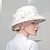 economico Cappelli per feste-autunno e inverno 2022 nuovo cappello invernale in maglia da banchetto da donna in lana versatile britannica