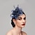 cheap Fascinators-Elegant Feather Net Fascinators Hats with Feathers Fur Floral 1PC Special Occasion Kentucky Derby Horse Race Ladies Day Headpiece