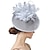 preiswerte Faszinator-Fascinatoren Sinamay Formal Kentucky Derby Pferderennen Damentag Cocktail Elegant Brautkleidung Mit Feder Kopfschmuck Kopfbedeckung