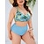 abordables trajes de baño y ropa de playa-2 pcs Bañadores Bikini Tallas Grandes Sensual Y2K Mujer Floral Poliéster Azul Piscina Sujetadores Calzoncillos