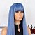 cheap Synthetic Wig-Synthetic Wig kinky Straight Natural Straight Neat Bang Machine Made Wig 24 inch Lake Blue Synthetic Hair Women&#039;s Classic Easy to Carry Blue