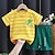 levne Sady-2 kusy batolecího chlapeckého trička&amp;amp; šortky outfit zvíře kreslený krátký rukáv bavlněný set outdoor rozkošný denně léto jaro 3-7 let s 1ks bublinkovým strojem