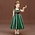 cheap Movie &amp; TV Theme Costumes-Frozen Fairytale Princess Anna Flower Girl Dress Theme Party Costume Tulle Dresses Girls&#039; Movie Cosplay Active Sweet Green Wedding Wedding Guest Dress