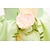 preiswerte Kostüme aus Film und Fernsehen-Glöckchen Märchen Prinzessin Tiana Blumenmädchen Kleid Motto-Party-Kostüm Tüll-Kleider Mädchen Film Cosplay Aktiv Süß Hochzeit kleid hochzeitsgast Kleid Zubehör-Set