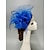 Χαμηλού Κόστους Fascinators-fascinators kentucky derby καπέλο καπέλα κεφαλής φτερά δίχτυ πέπλο καπέλο γάμου γυναικεία ημέρα κοκτέιλ βασιλικό astcot με πουπουλένιο καπάκι κεφαλή κεφαλής