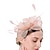 זול כובעים וקישוטי שיער-מפגשים סינאמי קנטקי דרבי כנסייה קוקטייל רויאל אסטקוט אלגנטית גברת עם נוצות כיסוי ראש כיסוי ראש