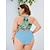 abordables trajes de baño y ropa de playa-2 pcs Bañadores Bikini Tallas Grandes Sensual Y2K Mujer Floral Poliéster Azul Piscina Sujetadores Calzoncillos