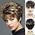 cheap Older Wigs-Synthetic Natural Mommy Wig with Bangs Grey Short Wigs for Women Older Lady Hairstyle Halloween Costume Wigs for Mother
