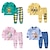 preiswerte Pyjamas-Baby Jungen 2 Stück Pyjama-Sets Langarm Z17 Z29 Z13 Feste Farbe Tier Frühling Herbst bezaubernd Heim 7-13 Jahre