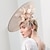 cheap Fascinators-Fascinators Hats Flax Top Hat Sinamay Hat Wedding Casual Melbourne Cup Elegant Romantic British With Flower Headpiece Headwear