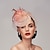 cheap Fascinators-Black Funeral Hat Feather Net Pillbox Fascinators Hats Headwear with Feather Floral 1PC Special Occasion Horse Race Ladies Day Headpiece