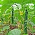 abordables accessoires d&#039;entretien des plantes-pergola en polyester pour plantes grimpantes, filet de bricolage réutilisable de 5 * 15 pieds pour la plantation, fournitures de jardin, structures de support de plantes