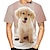 Недорогие новые забавные толстовки и футболки-Животный принт Собака золотистого ретривера Как у футболки Аниме 3D Графический Назначение Для пары Муж. Жен. Взрослые Маскарад 3D печать На каждый день