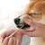 رخيصةأون أغراض العناية بالكلاب-الكلب القط القط الأسنان تنظيف الأوساخ أدوات الحيوانات الأليفة القط الكلب جمال الأسنان القلم تنظيف أسنان الحيوانات الأليفة القلم أداة إزالة الحجر